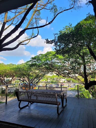 The Deck