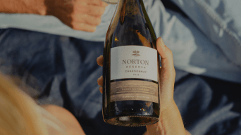 Bottles & Bottles