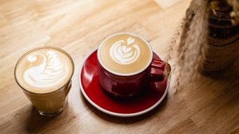 Olla Specialty Coffee