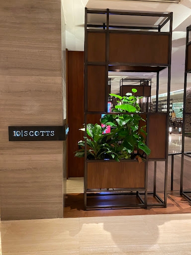 10|scotts