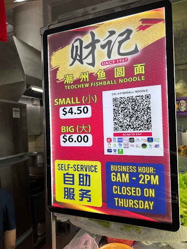 Cai Ji Fishball Noodle