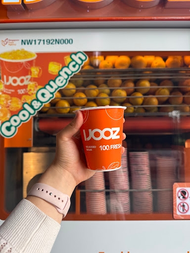 Ijooz Pure Fruit Juice