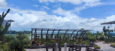 Qantas International First Lounge Singapore